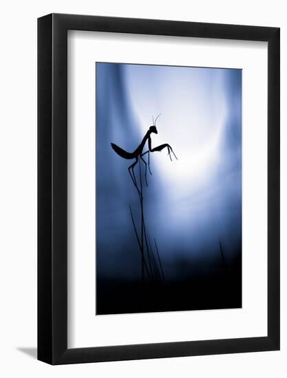 Last Night on Earth-Fabien Bravin-Framed Photographic Print