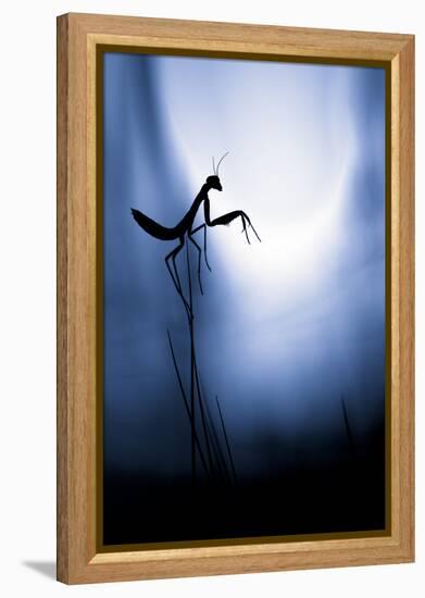 Last Night on Earth-Fabien Bravin-Framed Premier Image Canvas