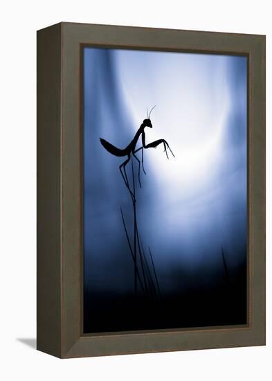 Last Night on Earth-Fabien Bravin-Framed Premier Image Canvas