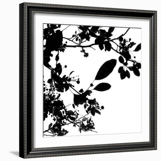 Last of Summer I-Monika Burkhart-Framed Photo