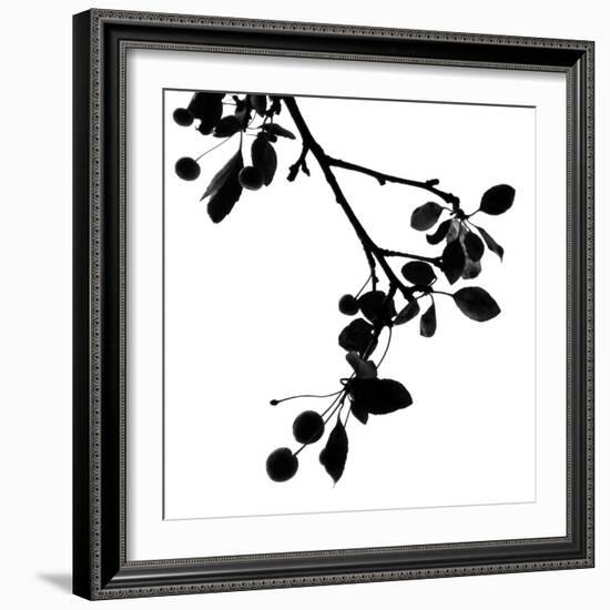 Last of Summer III-Monika Burkhart-Framed Photo