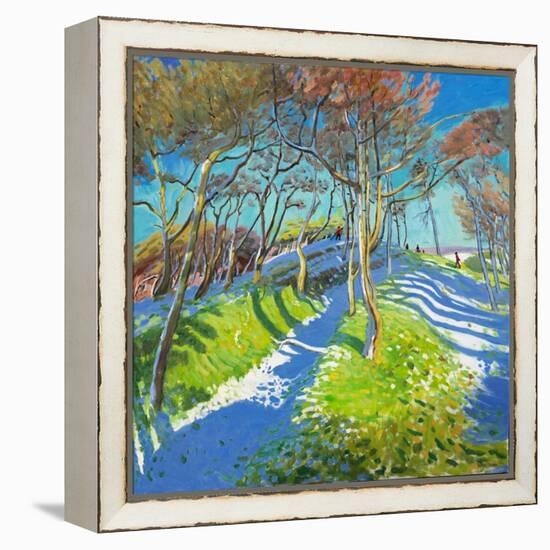Last of the Snow, Ladmanlow, 2015-Andrew Macara-Framed Premier Image Canvas