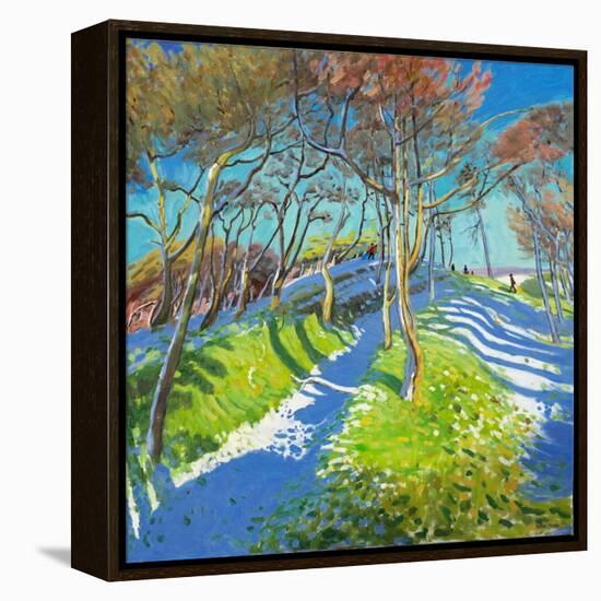 Last of the Snow, Ladmanlow, 2015-Andrew Macara-Framed Premier Image Canvas
