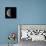 Last Quarter Moon-Eckhard Slawik-Premium Photographic Print displayed on a wall