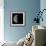 Last Quarter Moon-Eckhard Slawik-Framed Premium Photographic Print displayed on a wall