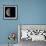 Last Quarter Moon-Eckhard Slawik-Framed Premium Photographic Print displayed on a wall