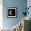 Last Quarter Moon-Eckhard Slawik-Framed Premium Photographic Print displayed on a wall