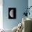 Last Quarter Waning Moon-null-Photographic Print displayed on a wall