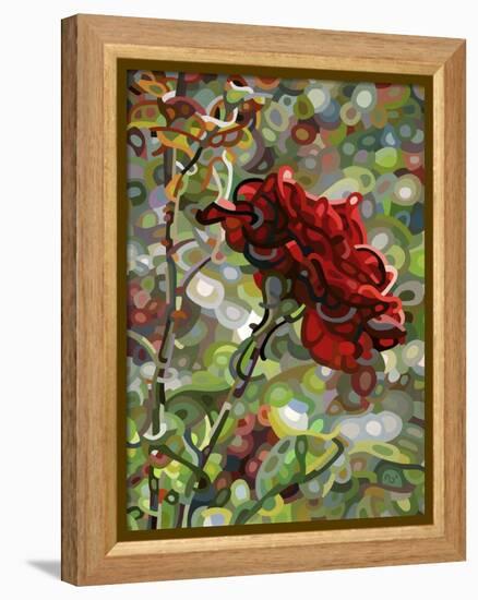 Last Rose of Summer-Mandy Budan-Framed Premier Image Canvas