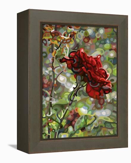 Last Rose of Summer-Mandy Budan-Framed Premier Image Canvas