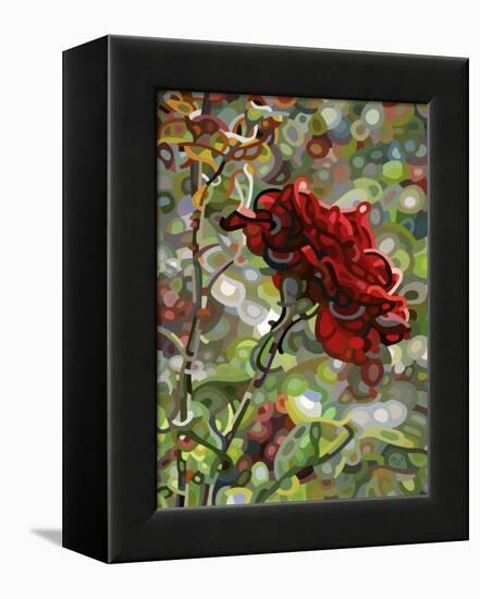 Last Rose of Summer-Mandy Budan-Framed Premier Image Canvas