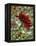 Last Rose of Summer-Mandy Budan-Framed Premier Image Canvas