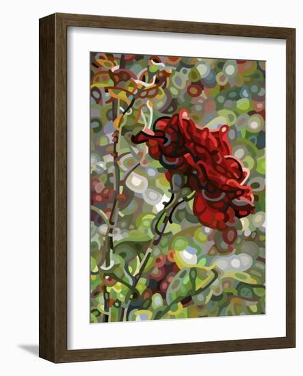 Last Rose of Summer-Mandy Budan-Framed Giclee Print