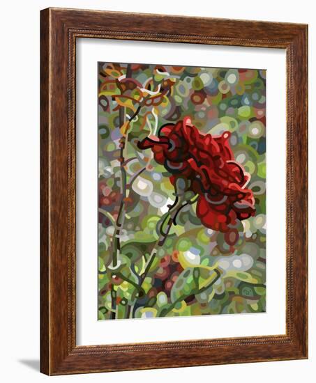 Last Rose of Summer-Mandy Budan-Framed Giclee Print