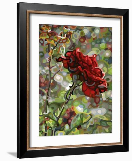 Last Rose of Summer-Mandy Budan-Framed Giclee Print