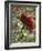 Last Rose of Summer-Mandy Budan-Framed Giclee Print