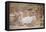 Last Supper-Luigi Ademollo-Framed Premier Image Canvas