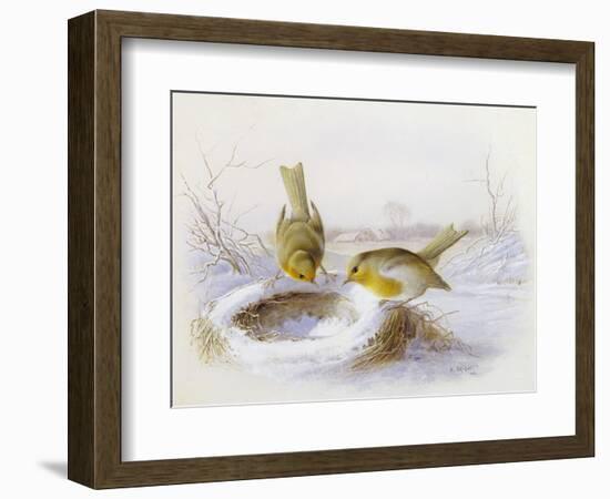 Last Year's Nest-Harry Bright-Framed Giclee Print