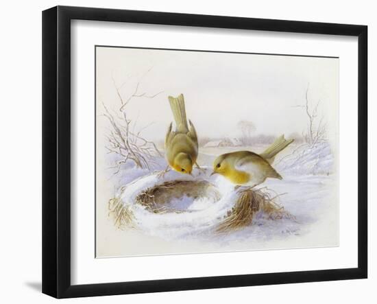 Last Year's Nest-Harry Bright-Framed Giclee Print