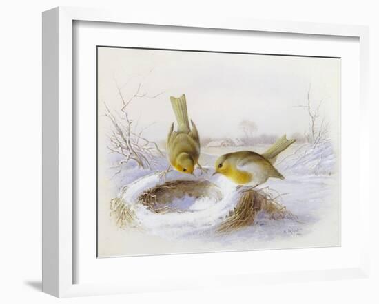 Last Year's Nest-Harry Bright-Framed Giclee Print