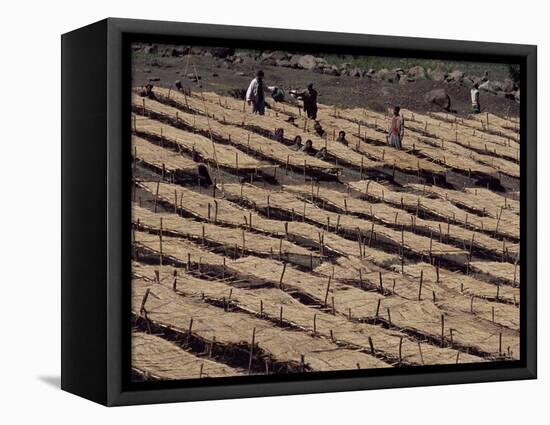 Lasta Valley, Wollo Region, Ethiopia, Africa-Bruno Barbier-Framed Premier Image Canvas