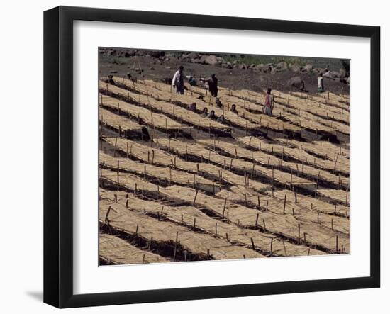 Lasta Valley, Wollo Region, Ethiopia, Africa-Bruno Barbier-Framed Photographic Print