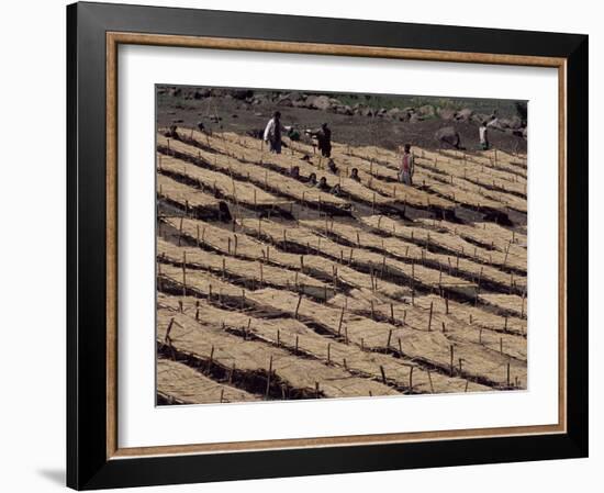 Lasta Valley, Wollo Region, Ethiopia, Africa-Bruno Barbier-Framed Photographic Print