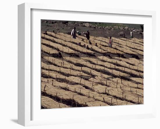 Lasta Valley, Wollo Region, Ethiopia, Africa-Bruno Barbier-Framed Photographic Print