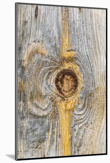 Latah, Washington State, USA. Knot in weathered wood on an old barn.-Emily Wilson-Mounted Photographic Print