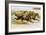 Late 19th Century Poster of Racehorses Crossing the Finish Line-null-Framed Giclee Print