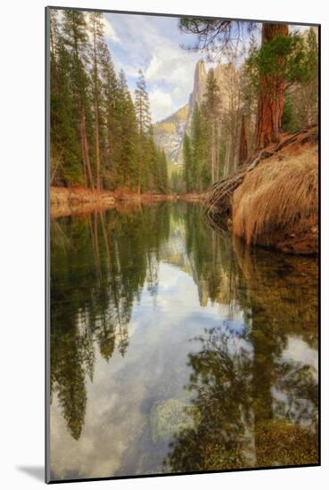 Late Afternoon Along the Merced River-Vincent James-Mounted Photographic Print