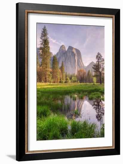 Late Afternoon at Cathedral Rocks, Yosemite Valley-Vincent James-Framed Photographic Print