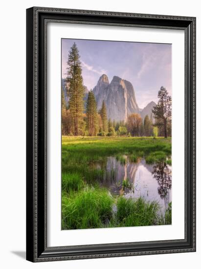 Late Afternoon at Cathedral Rocks, Yosemite Valley-Vincent James-Framed Photographic Print