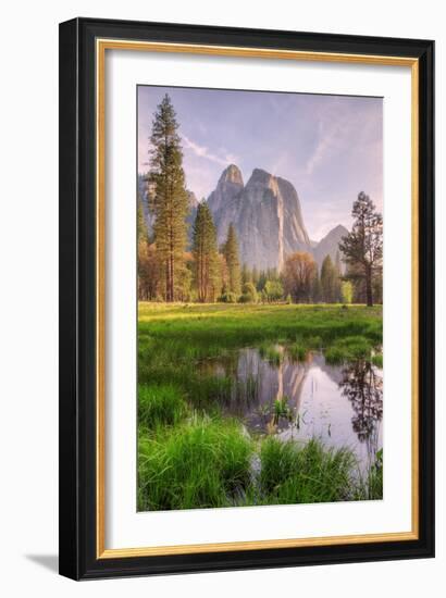 Late Afternoon at Cathedral Rocks, Yosemite Valley-Vincent James-Framed Photographic Print