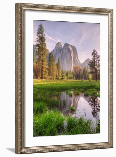 Late Afternoon at Cathedral Rocks, Yosemite Valley-Vincent James-Framed Photographic Print