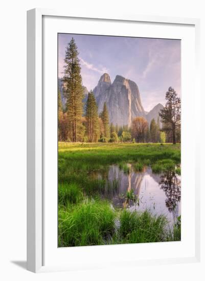 Late Afternoon at Cathedral Rocks, Yosemite Valley-Vincent James-Framed Photographic Print