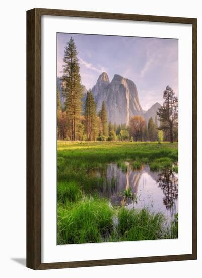 Late Afternoon at Cathedral Rocks, Yosemite Valley-Vincent James-Framed Photographic Print