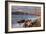 Late Afternoon, Baker Beach, San Francisco-Vincent James-Framed Photographic Print