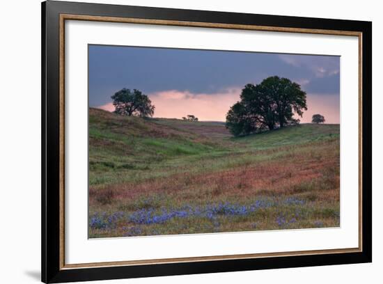 Late Afternoon, Central California-Vincent James-Framed Photographic Print