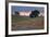 Late Afternoon, Central California-Vincent James-Framed Photographic Print