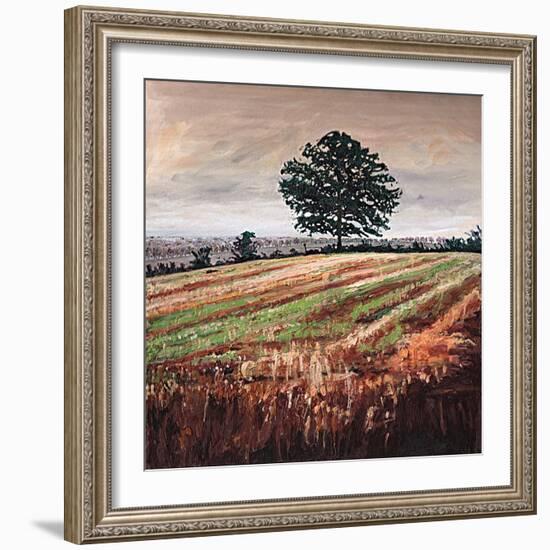 Late Afternoon field, 2009, (oil on canvas)-Helen White-Framed Giclee Print