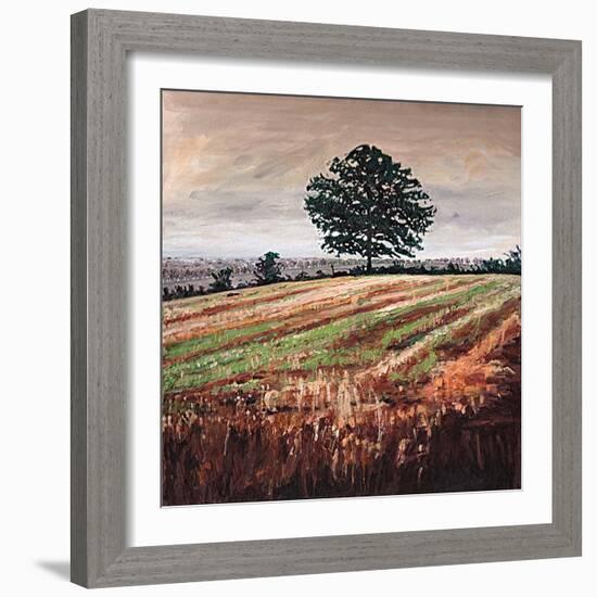 Late Afternoon field, 2009, (oil on canvas)-Helen White-Framed Giclee Print