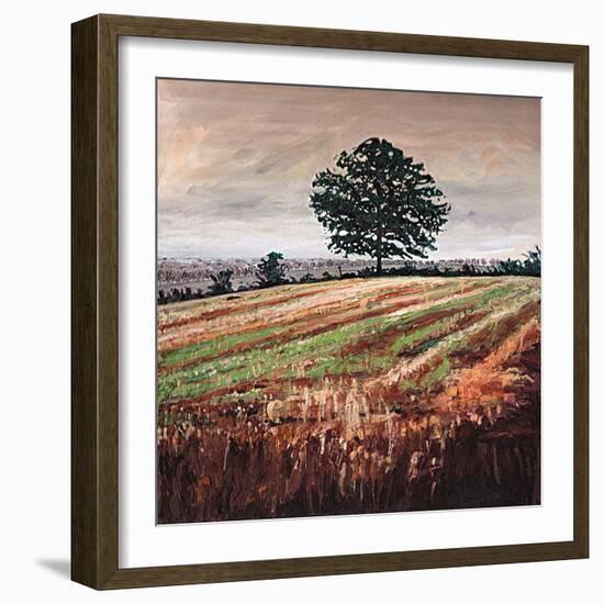 Late Afternoon field, 2009, (oil on canvas)-Helen White-Framed Giclee Print