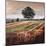 Late Afternoon field, 2009, (oil on canvas)-Helen White-Mounted Giclee Print