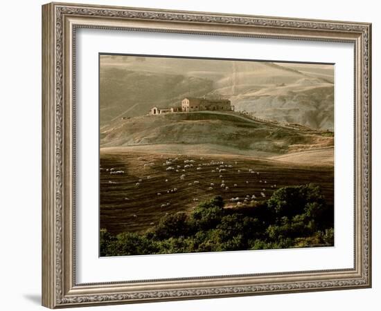 Late Afternoon in Tuscany-Monika Brand-Framed Photographic Print