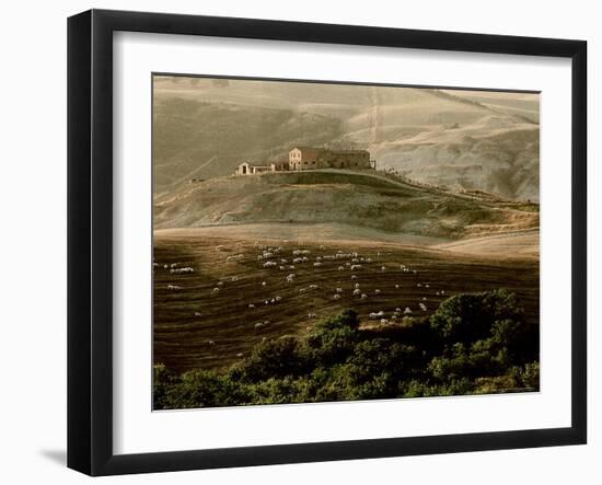 Late Afternoon in Tuscany-Monika Brand-Framed Photographic Print