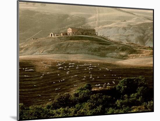 Late Afternoon in Tuscany-Monika Brand-Mounted Photographic Print