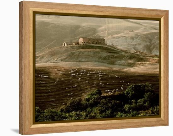 Late Afternoon in Tuscany-Monika Brand-Framed Premier Image Canvas