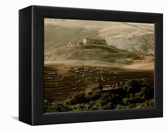 Late Afternoon in Tuscany-Monika Brand-Framed Premier Image Canvas