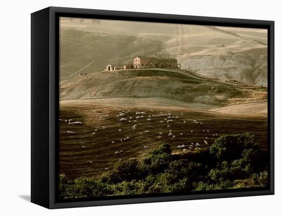 Late Afternoon in Tuscany-Monika Brand-Framed Premier Image Canvas